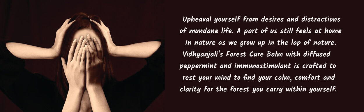 vidhyanjali pain relieving balm