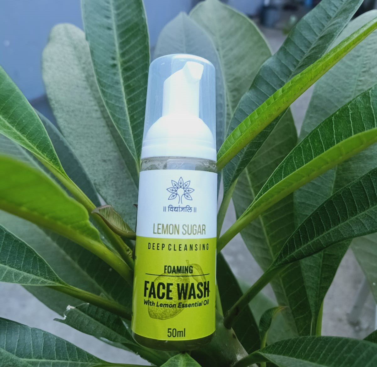 Foaming Facewash - Lemon Sugar - Deep Cleansing - 50ml