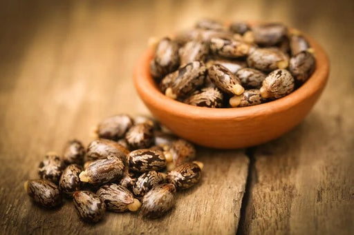 Castor Oil - Cold Pressed/Wood Pressed/Extra Virgin - 100ml