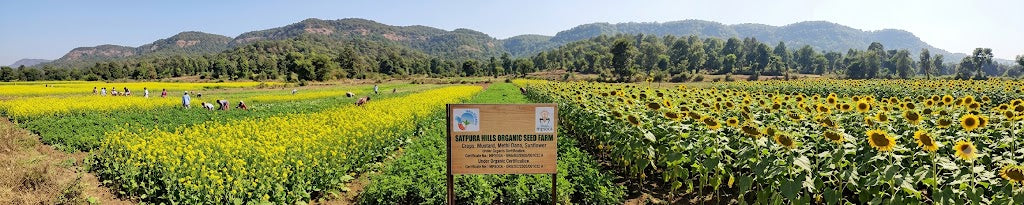 Organic Seed