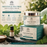 Mentha Tea Tree Foot Cream - 40 G / 10 G