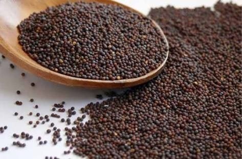 Organic Certified Mustard Seed - 500 G