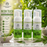 Neem Tulsi Facewash - 50 ML
