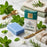 Pure Mint Soap