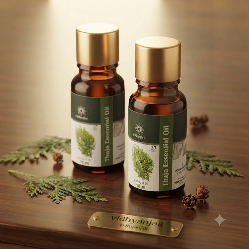 Thuja Essential Oil - 10 ML