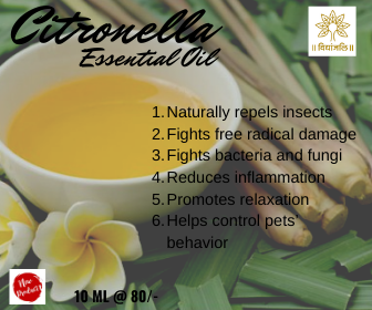 Citronella Essential Oil - 10 ML