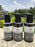 Activated Charcoal Foaming Facewash - 100 ML (No Color Added)