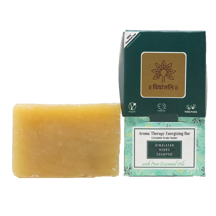 Himalayan Herb Shampoo Bar